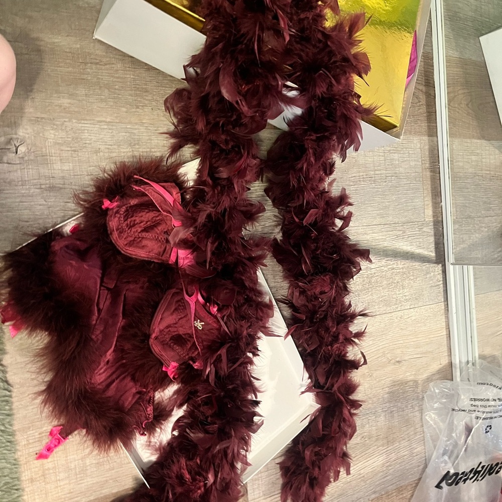 SOLD! Elegant Burgundy Feather Boa and Lingerie Set